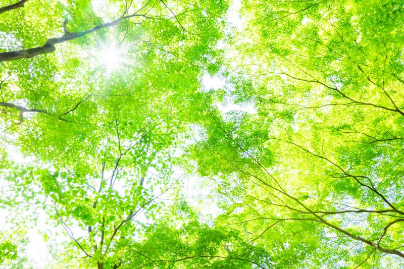 【2023年5月】開業支援実績のご紹介