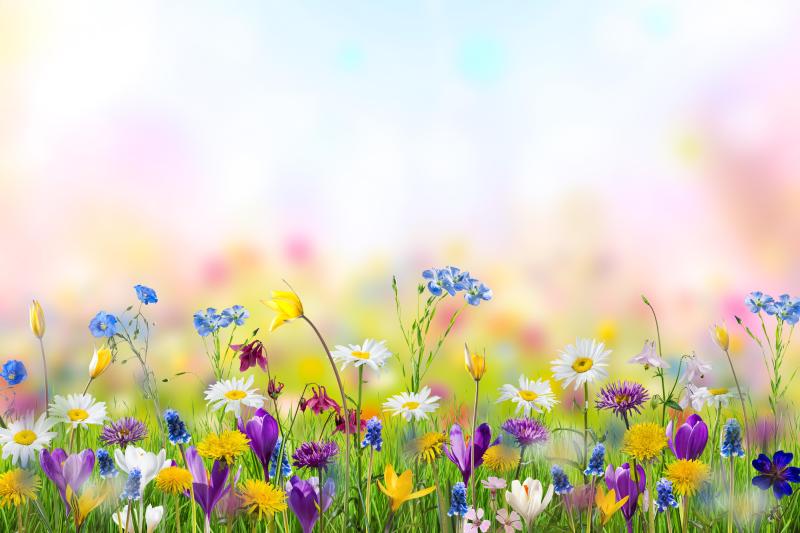 【2024年1月/2月】開業支援実績のご紹介